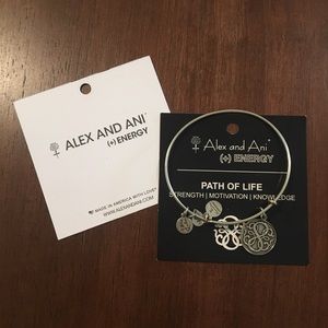 Alex and Ani Path of Life Bracelet